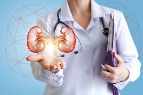 How to maintain healthy Kidney